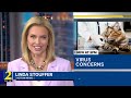 ‘We said yes': Nonprofit takes in 40 kittens exposed to virus at animal shelter
