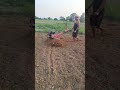 R.R ENTERPRISE 👉 SMART AGRO SOLUTION 😎 MILYF 8 HP PROMAX PETROL ENGINE DEMONSTRATION VEGETABLE FARM