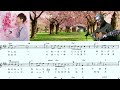 松阪ゆうき(桜の花の木の下で)「村井輝海の歌謡レッスン」