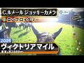 【ジョッキーカメラ】エンブロイダリー騎乗のC.ルメール騎手ジョッキーカメラ映像｜2026年ヴィクトリアマイル｜JRA公式