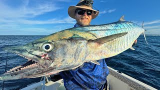 Mackerel Time! 3 trips and I finally got one!!! (Catch & clean)