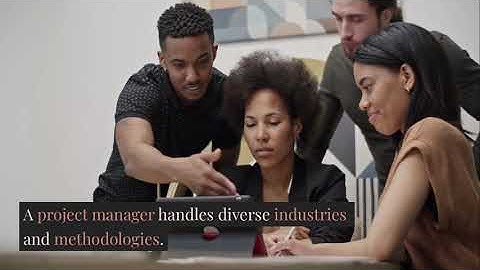 IT Project Manager vs Project Manager: Key Differences Explained #projectmanagement