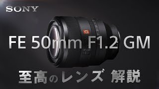 SONY FE 50㎜ F1.2 GM 映像カメラマンがレンズを考察する【 解説 レビュー 】