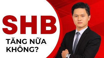 Cổ phiếu SHB - Còn tăng nữa không? Phân tích chất lượng tài sản và hệ sinh thái T&T của "bầu" Hiển