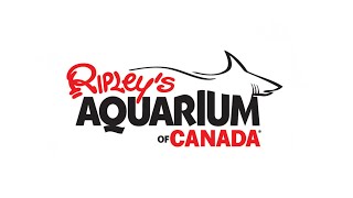 Ripley's Aquarium of Canada