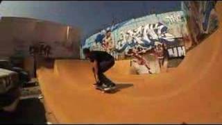 Fully flared mike carroll and eric koston
