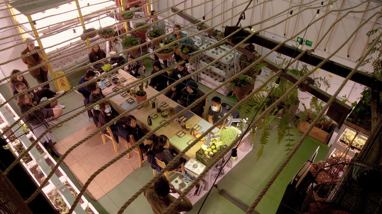 Farmwall growing unit with fresh greens, ready to play the video