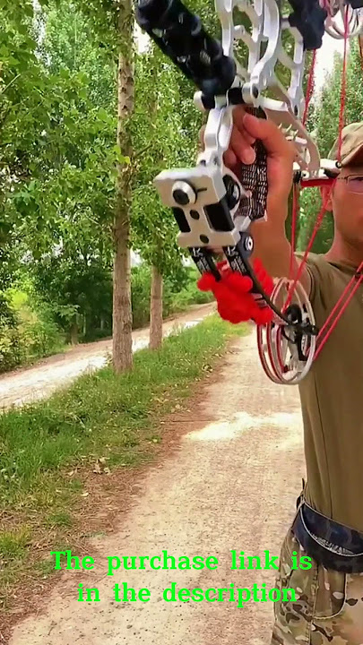 Steel Ball Compound Bow Kit, Dual Purpose Bow #slinsghot #outdoors #compoundbow #bowfishing