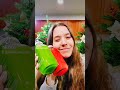 Juicing Fun for the Holidays!!