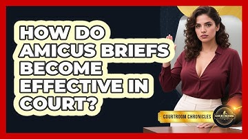 How Do Amicus Briefs Become Effective In Court? - Courtroom Chronicles