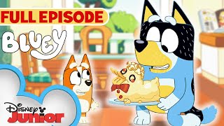 Bluey Full Episode | Duck Cake  | S2 E44 | Full Episode | @disneyjunior @BlueyOfficialChannel