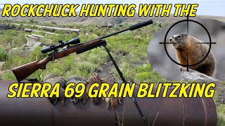 Rockchuck Hunting - 22 Creedmoor & 69 Grain Sierra Blitzking Bullets screenshot 3