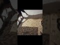 هوا لعبها مارڨ