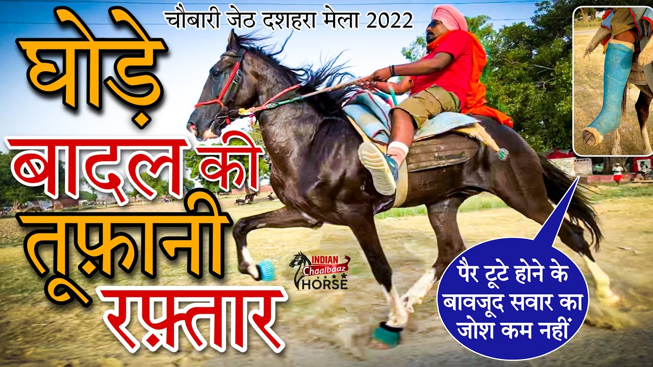 घोड़े बादल की तूफ़ानी रफ़्तार Chubari Dussehra Mela 2022