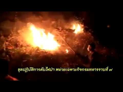 ชุดดับไปฟ่า หน่วยเฉพาะกิจกรมทหารราบที่ 7