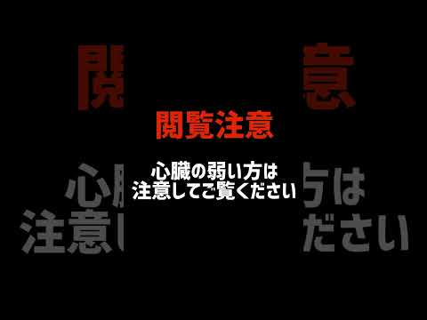 【閲覧注意】やっぱり怖くないホラーゲーム #vtuber #個人vtuber #ホラーゲーム実況プレイ #つぐのひ #vtuberclip #clip #切り抜き #shorts #short