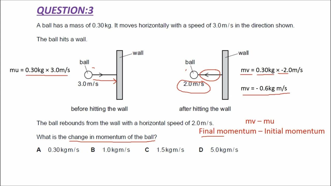 Momentum and Impulse past paper questions and solutions (IGCSE PHYSICS