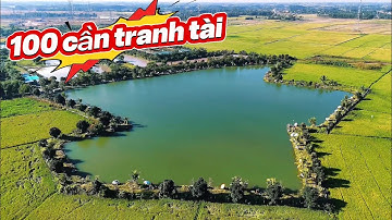 ✅ 100 cần thủ câu cá rêm mình, giải TORO lần 2 | DUY FISHING SAI GON