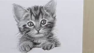 كيف ترسم قطة بغاية السهولة؟ | how to draw a cat ?