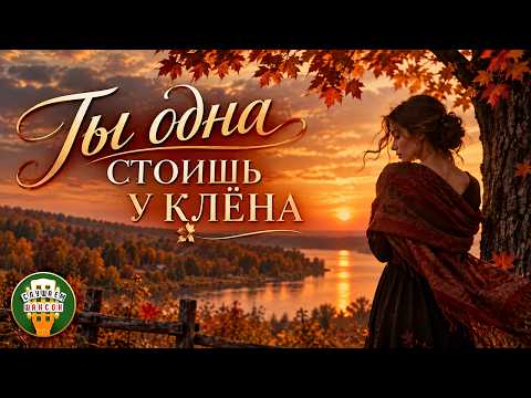 ТЫ ОДНА СТОИШЬ У КЛЁНА ❂ САМЫЕ ДУШЕВНЫЕ И НЕЖНЫЕ ПЕСНИ ❂ ПЕТЛЮРА КРУГ КУЧИН ОГОНЕК