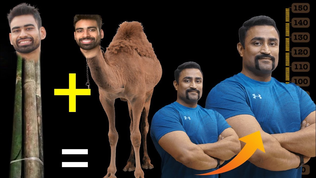 Can Camel milk & Bamboo ka murabba increase your height? | 