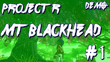MT. Blackhead | FusionFall Project R (Vers.1) #1