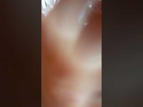 ٦ نوفمبر ٢٠١٩