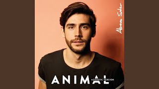 Animal (Acoustic Version)