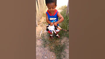 قطة تهاجم طفل 