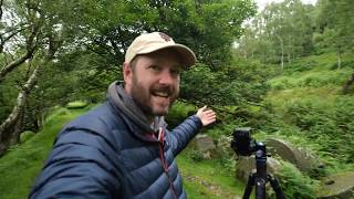 DPReview TV: Entry-level DSLR challenge (with Canon EOS SL3/250D)