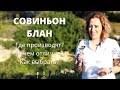 Совиньон блан. Где производят. Чем отличаются. Как выбрать.