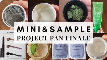 mini and sample project: 2020 project pan finale