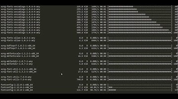 Arch Linux Install Part 2 - Useradd, Xorg, Gnome Desktop Environment, Packer, Fish Shell