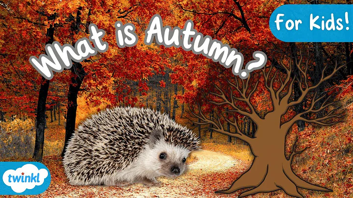 What is Autumn? | Signs of Autumn for Kids 🍂 - DayDayNews