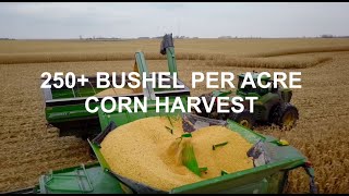 North Dakota Corn Harvest 2019 (Forman, ND) by theburbankblues 699,120 views 4 years ago 13 minutes, 34 seconds