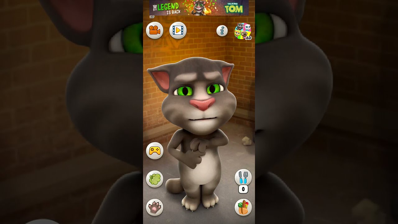 Talking Tom Cat New Video Best Funny Android GamePlay  11749