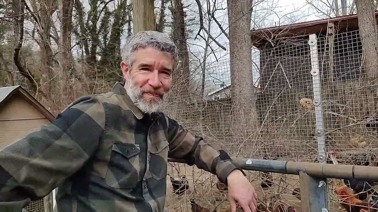 Lost pig sheltered in East Flat Rock homestead. (Owner found "Hamlet" within hour of post.)