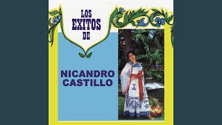 Video thumbnail of "Nicandro Castillo - El Framboyan"