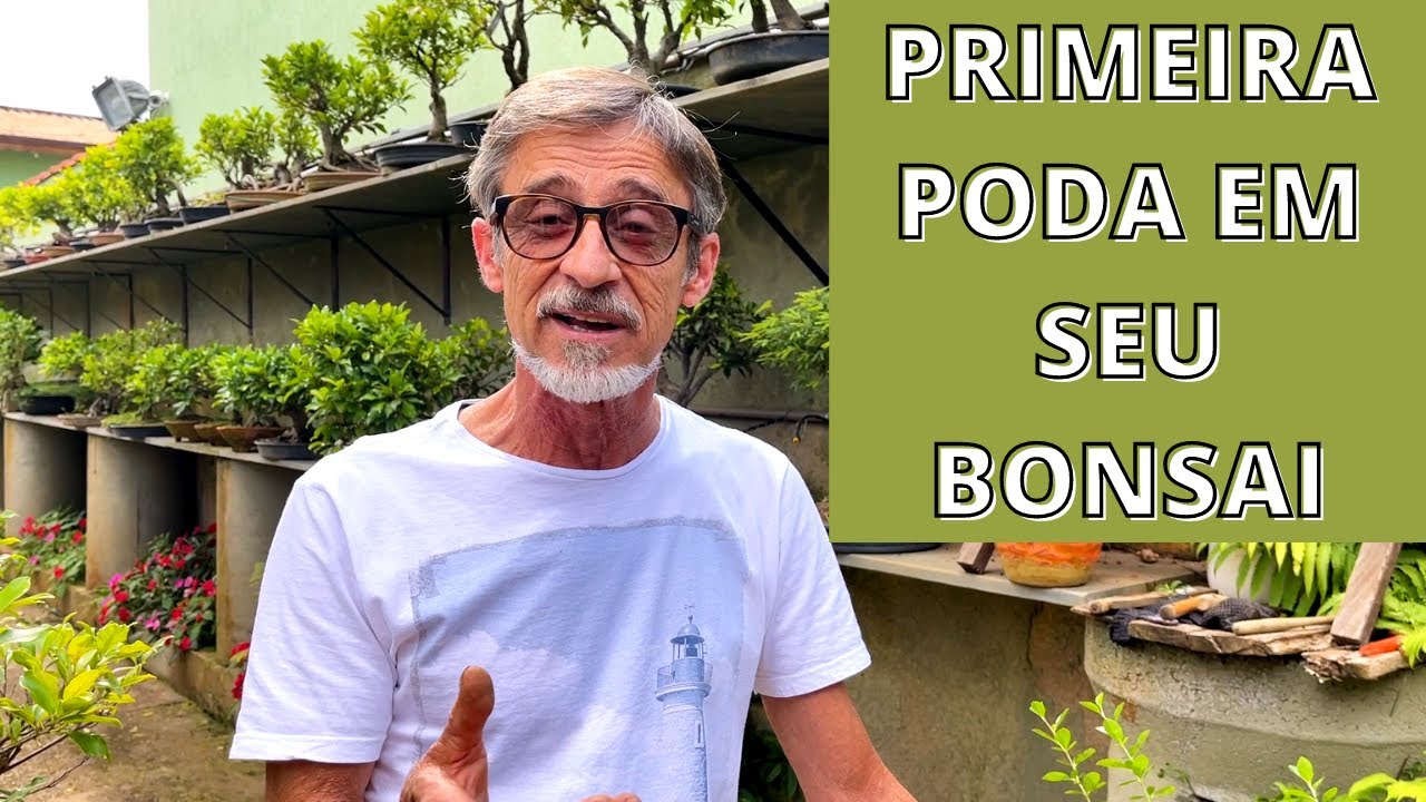 PRIMEIRA PODA EM SEU BONSAI