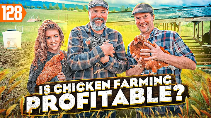 How to Start a Chicken Farm (and Make Millions) - DayDayNews