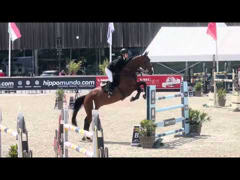 Criquet des l’isle 140 CSI3*** Opglabbeek