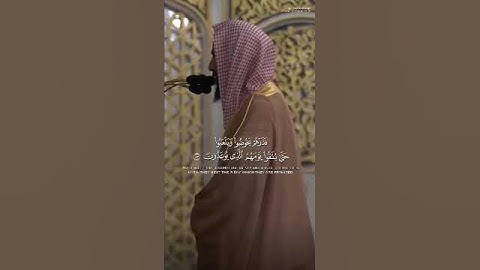 تلاوة - الشيخ - احمد بن طالب سورة الزخرف -#القرآن_الكريم#islamicscripture#اكسبلور#viralvideo