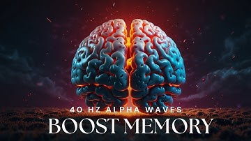 Memory Frequency: Boost Your Short Term Memory | 40 Hz Binaural Beats for Memory Improvement
