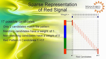 Mantaro Sparse Representation Video