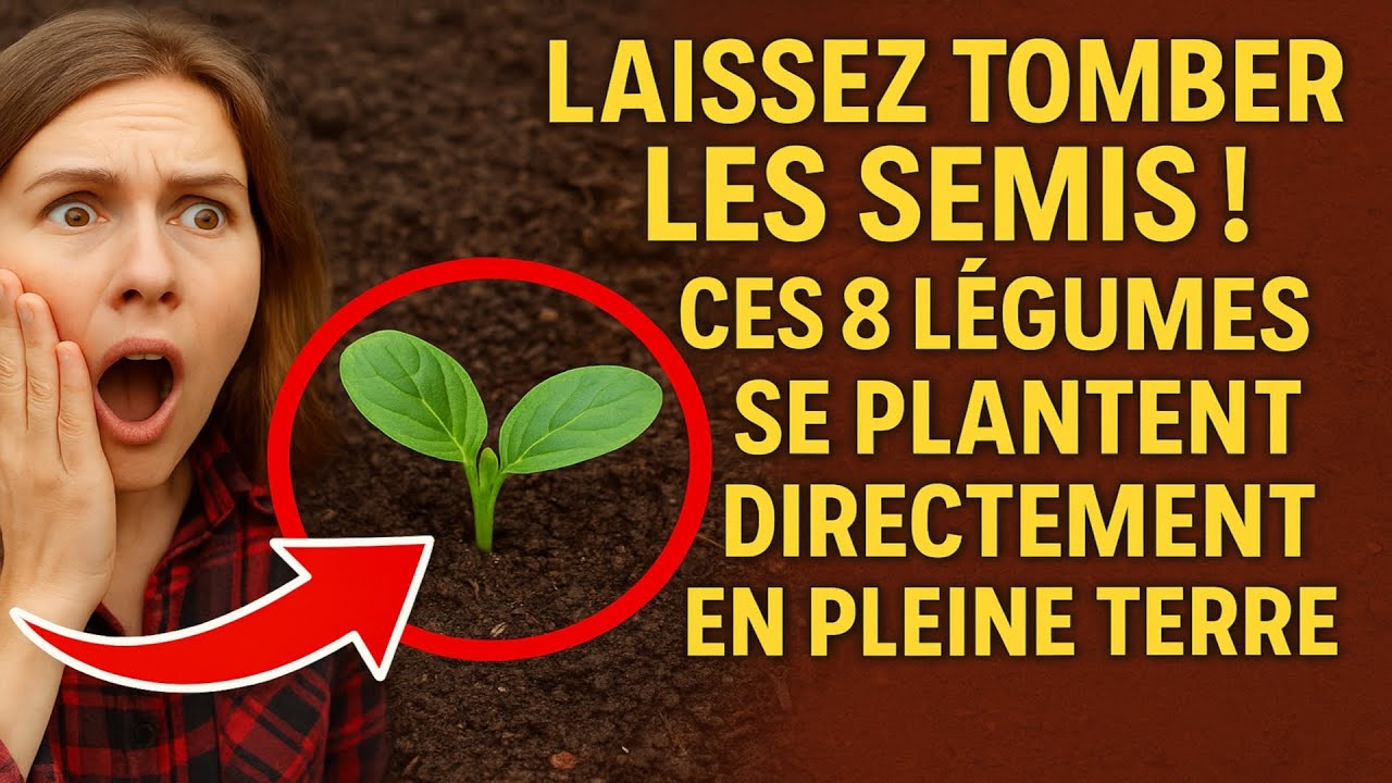 Laissez tomber les semis ! Ces 8 légumes se plantent directement en pleine terre 🌱