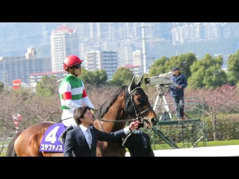 H29.04.02　馬場入場　大阪杯　阪神競馬場