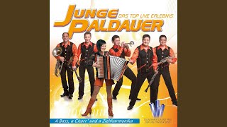 A Bass, a Gitarr und a Ziehharmonika (Radio Mix) - Junge Paldauer