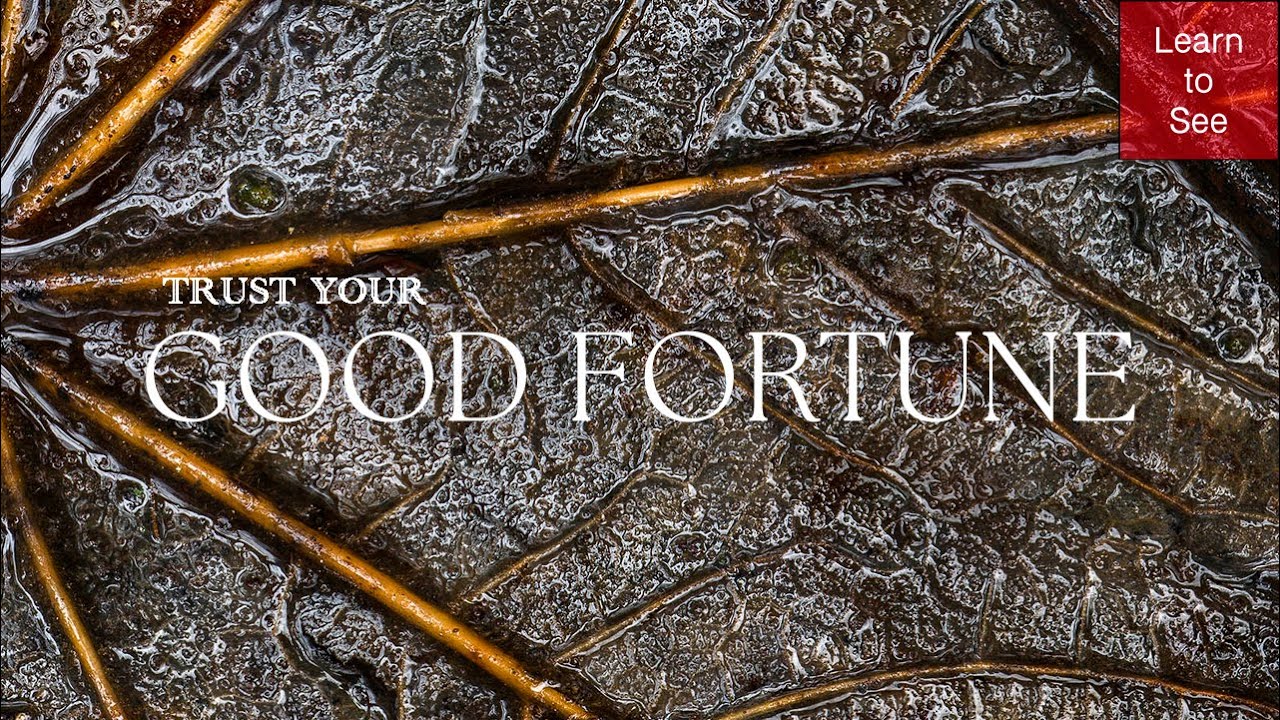 Trust Your Good Fortune | Intimate Landscape Photography