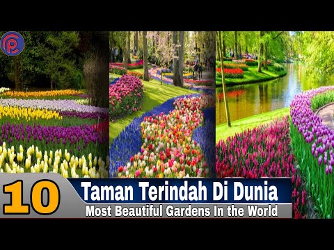 Video: Kebun Raya Terbaik Di Dunia, Terbesar Dan Terindah