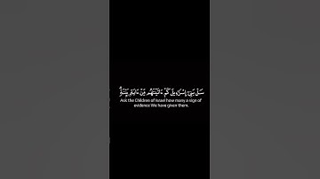 تحميل كروما قران كريم شاشة سوداء